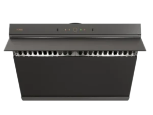 7507-Yhood-open_front_2000x 3-IN-1 In-Sink Dishwasher SD2F-P5